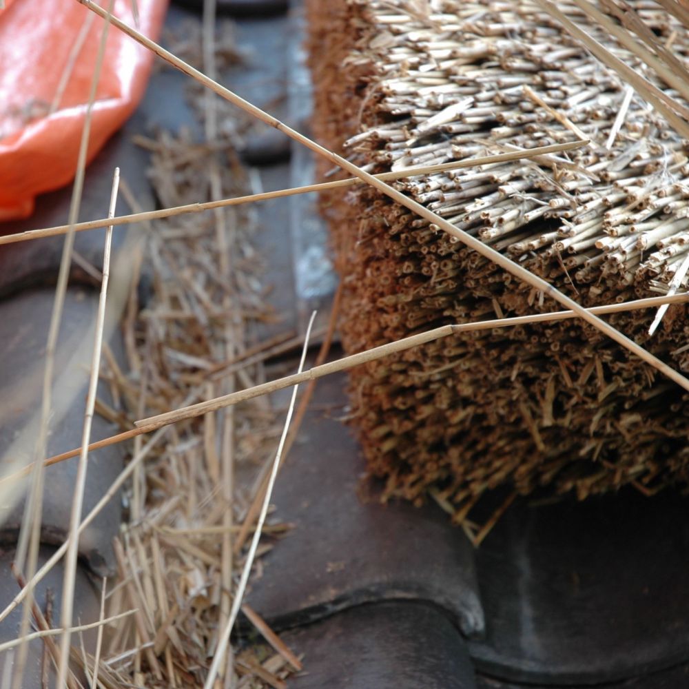 Diverse Renovatie projecten