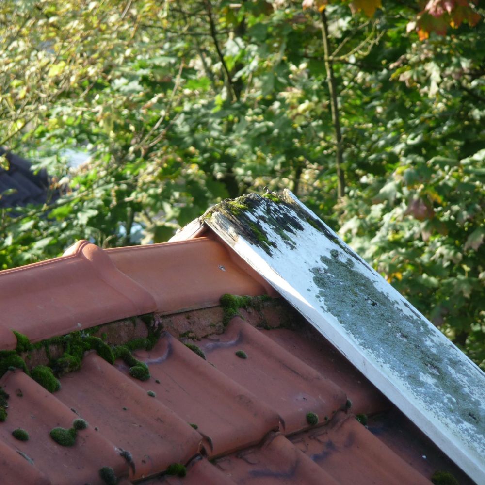 Renovatie dak lijstwerk Doornenburg