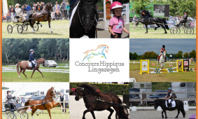 Sponsoring CH Lingezegen